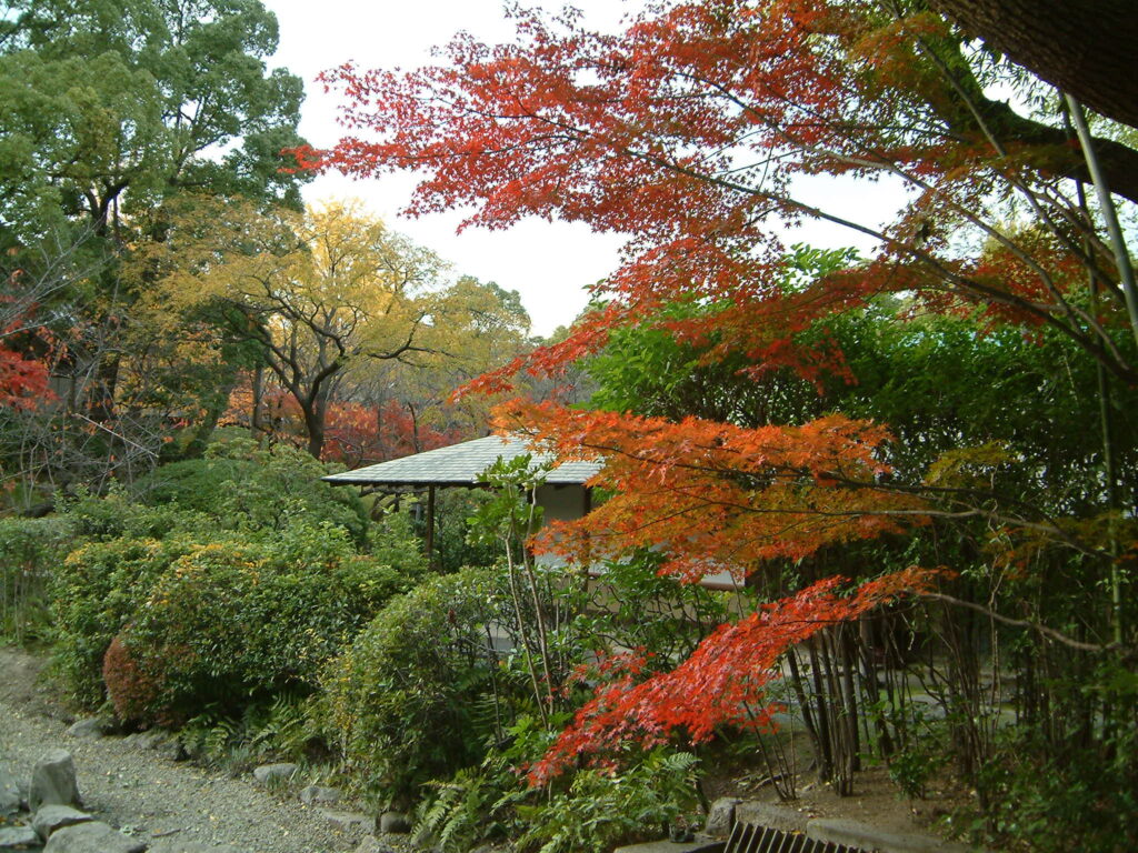 庭園紅葉